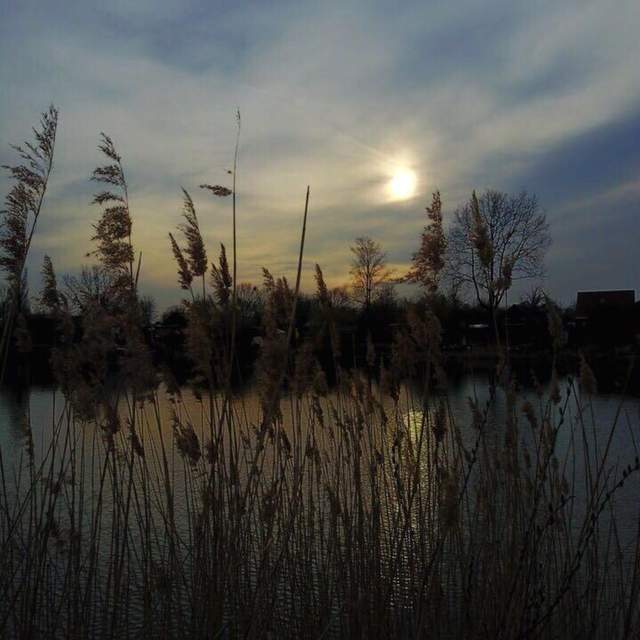 arnumer see