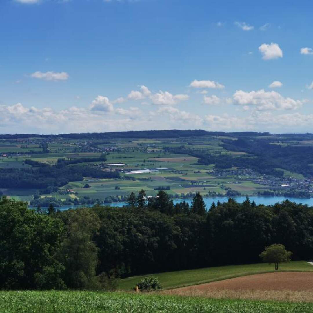 Vorsommerferien 2020