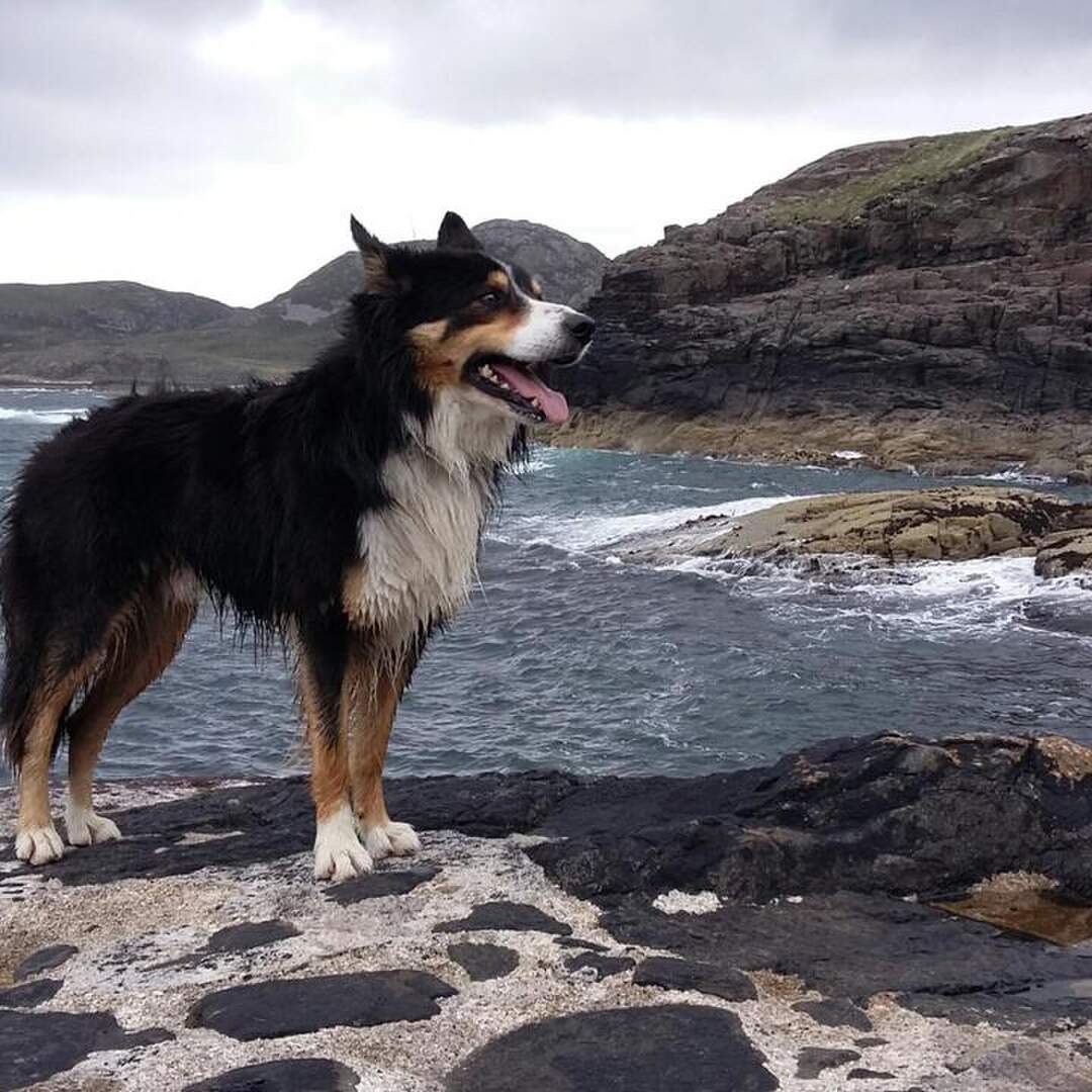 Schottland 2017
