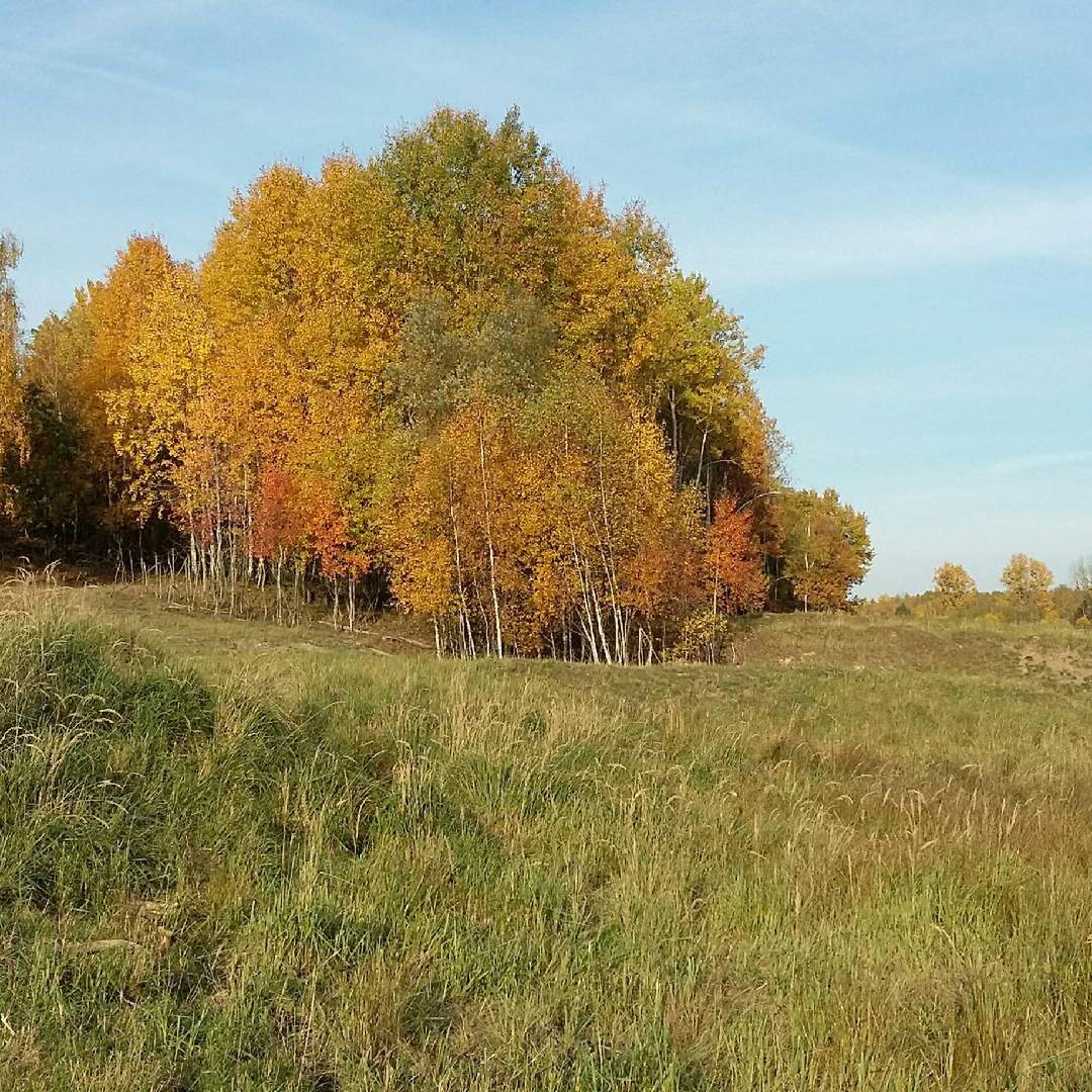 Döberitzer Heide