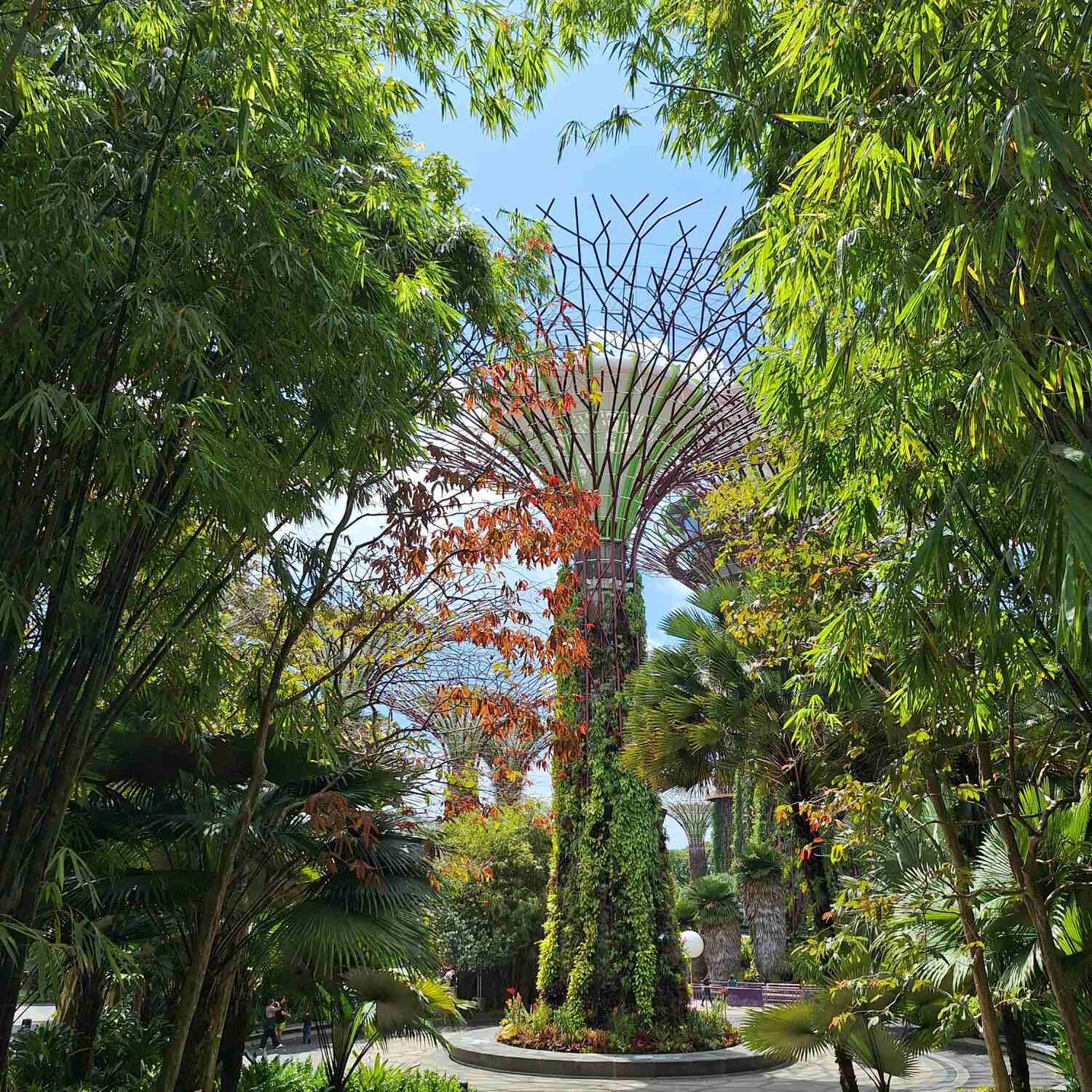 Singapur 🌱🇸🇬