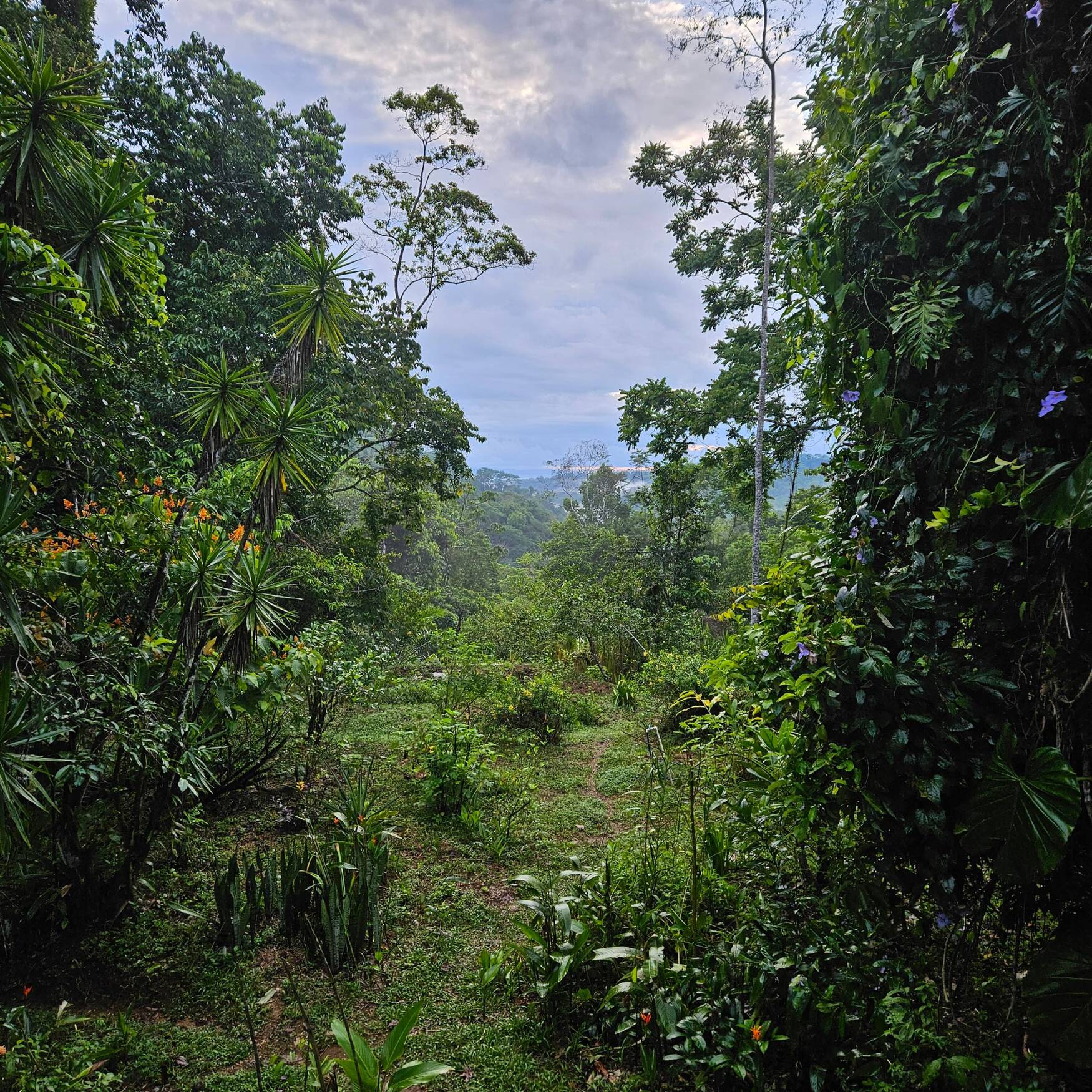 Costa Rica