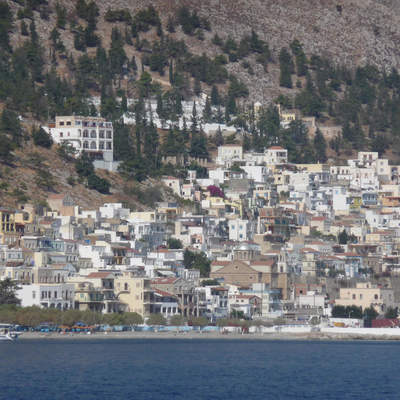 1. Kos 2008