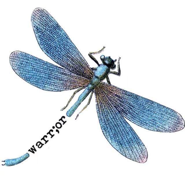 Chasing Dragonflies