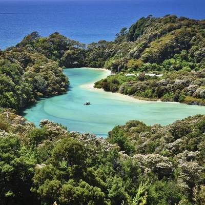 Köhmon in Neuseeland