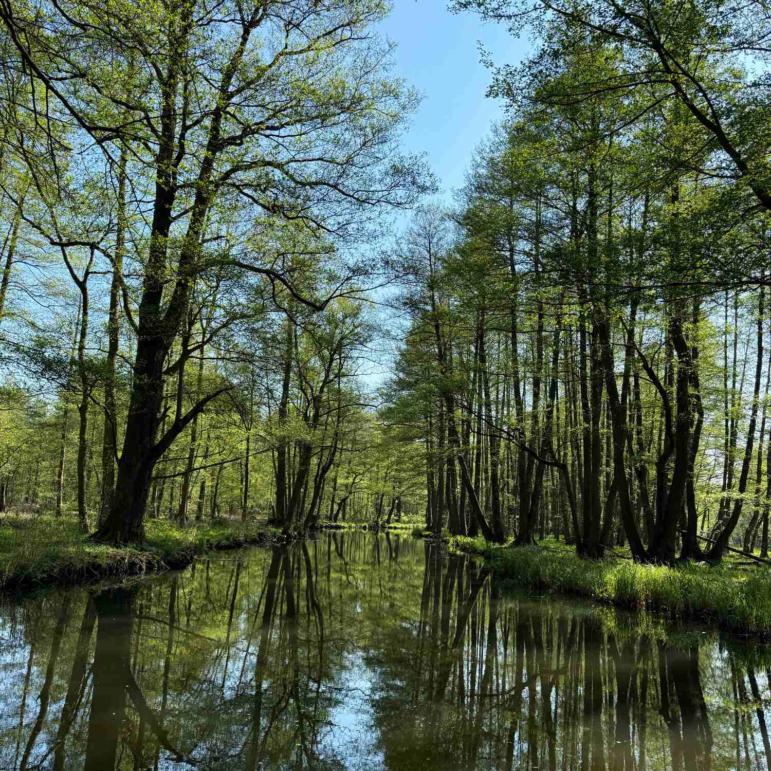 Spreewald die 2.