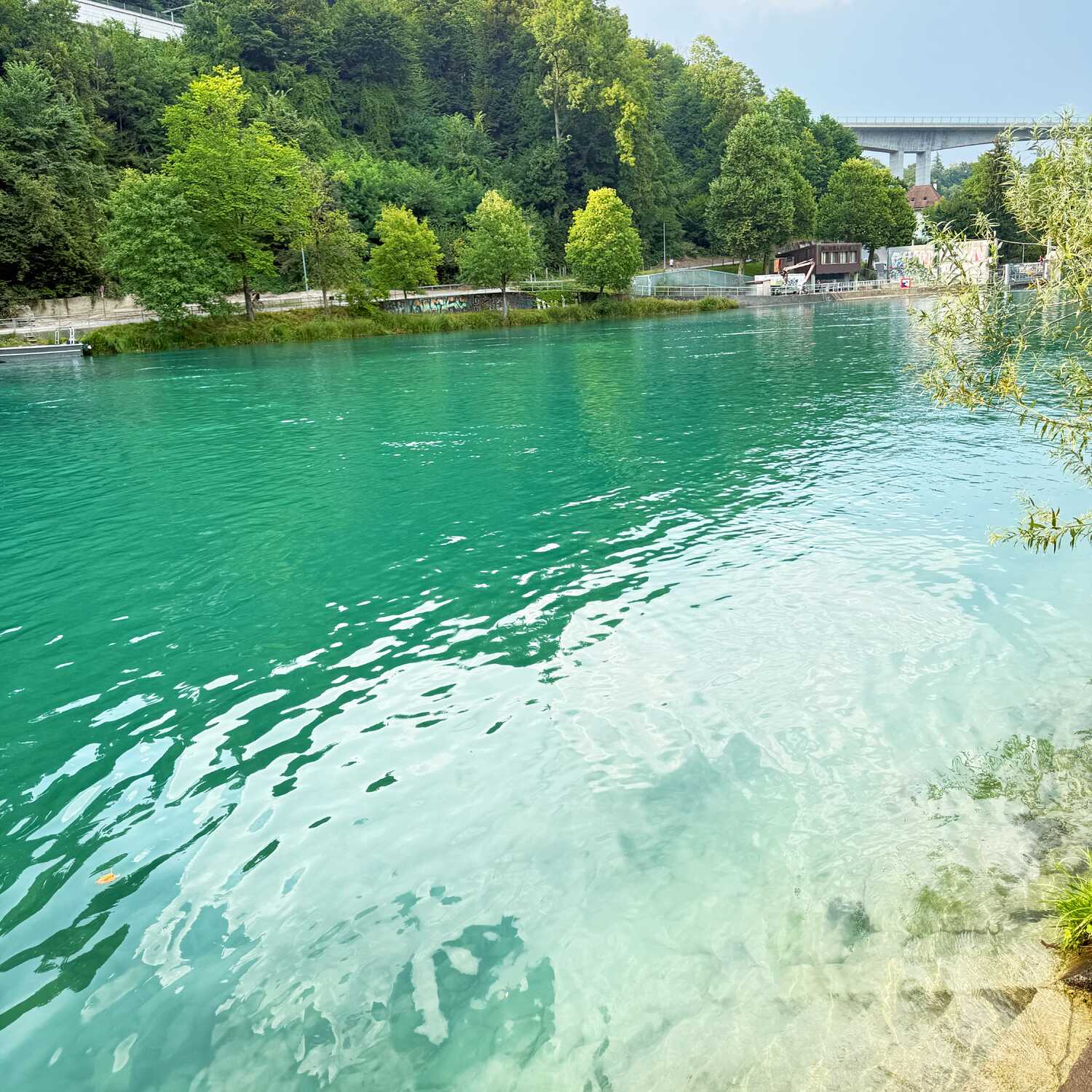 Aare Sup -