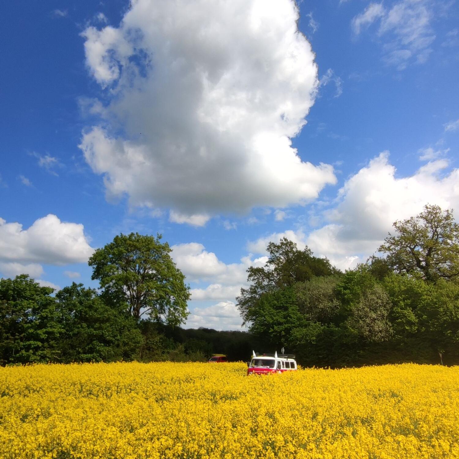 The Deutschland Rally