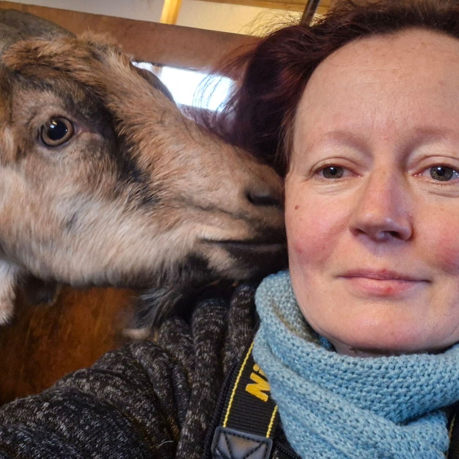Auszeit auf der Ziegenfarm in