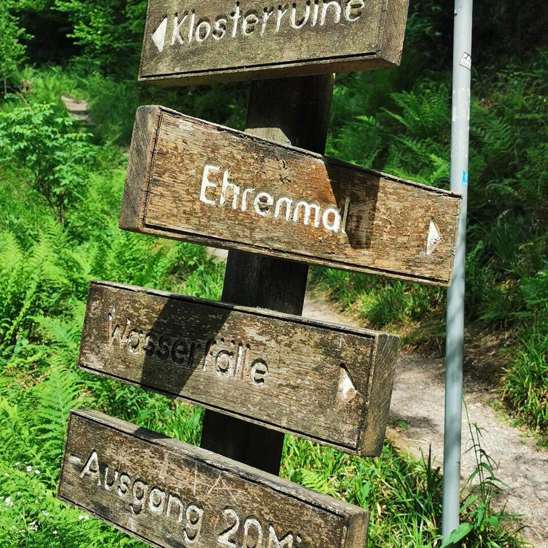 Schwarzwald und Pfälzer Wald