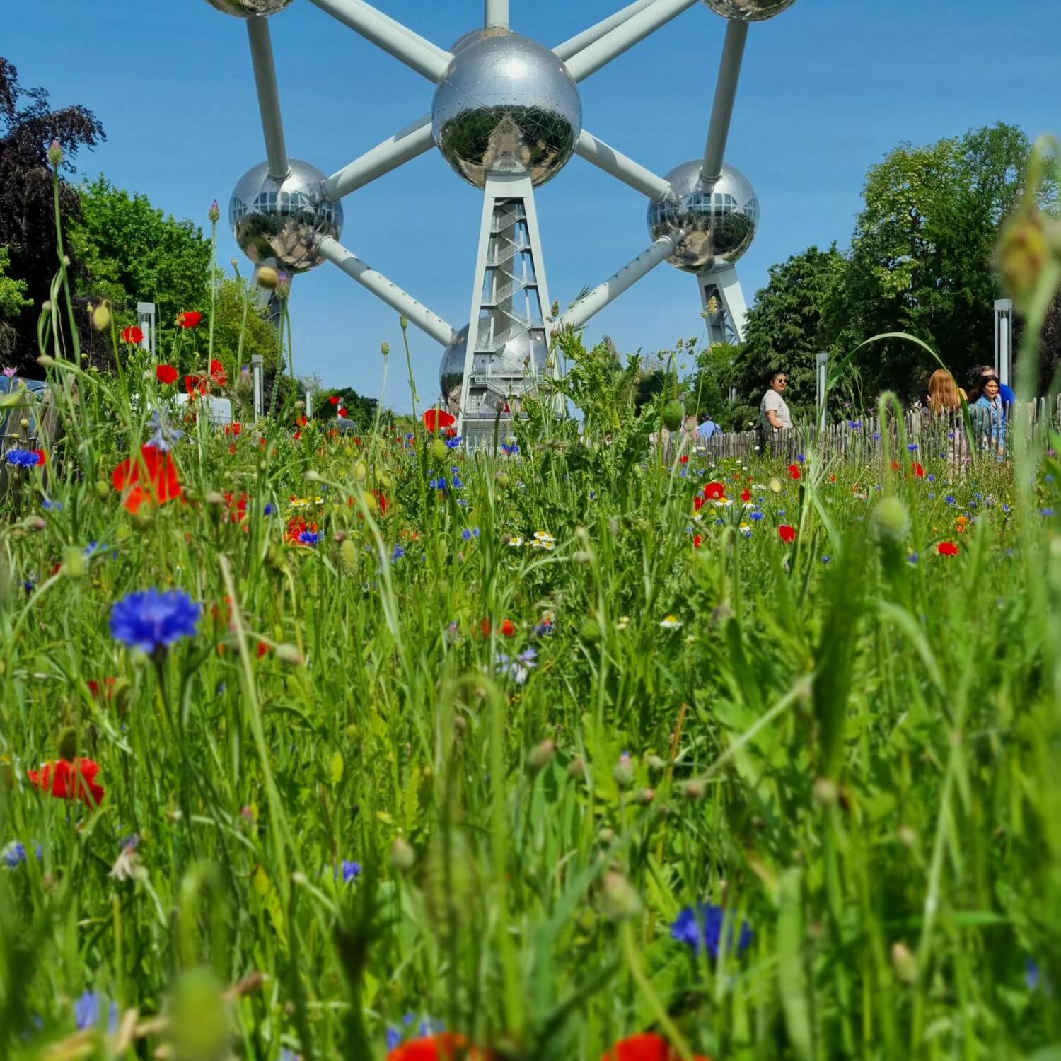 Brüssel 2023