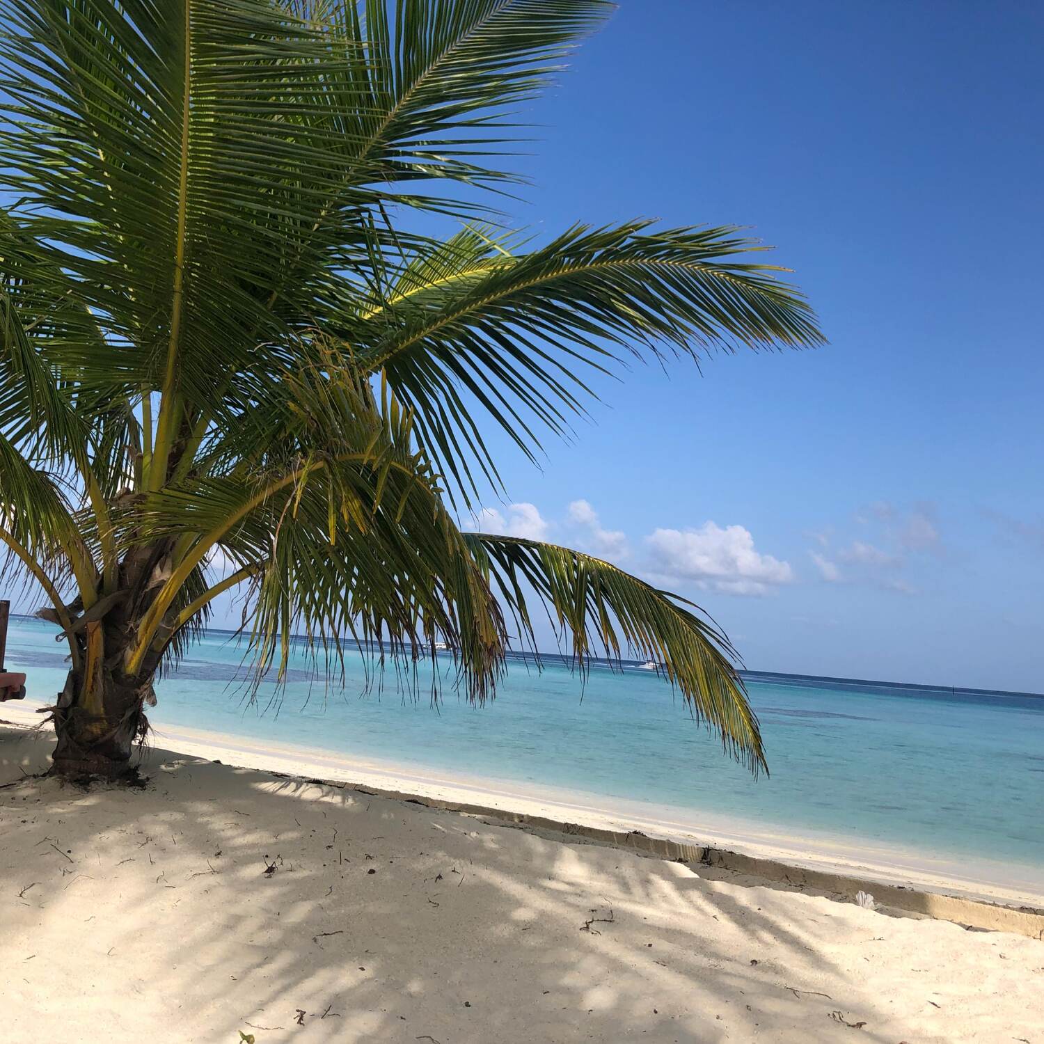 Seychellen