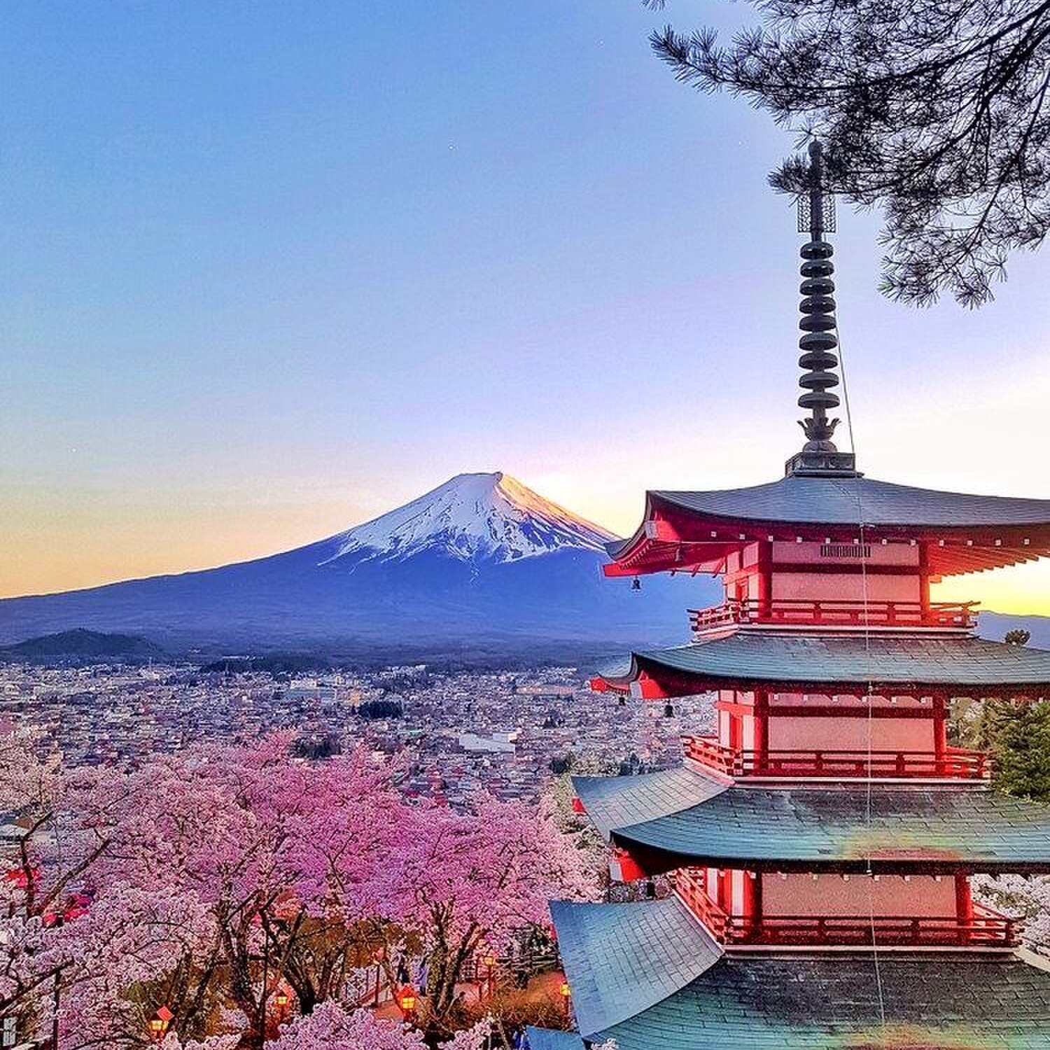 Le Japon
