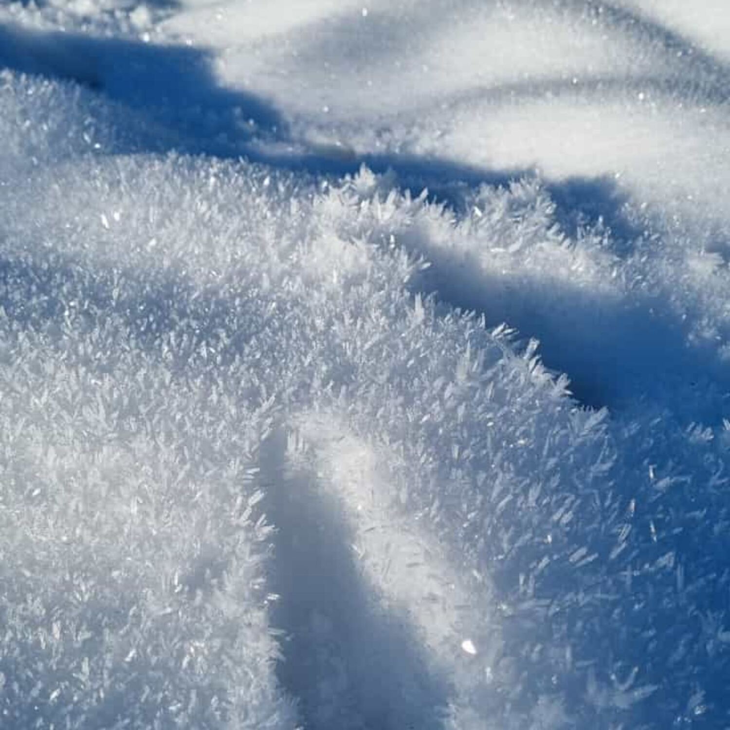 Dem Schnee hinterher