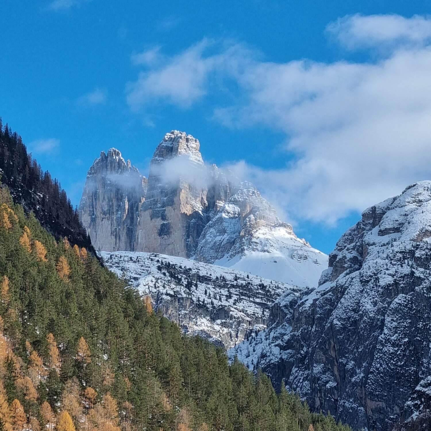 ... ab in den Süden