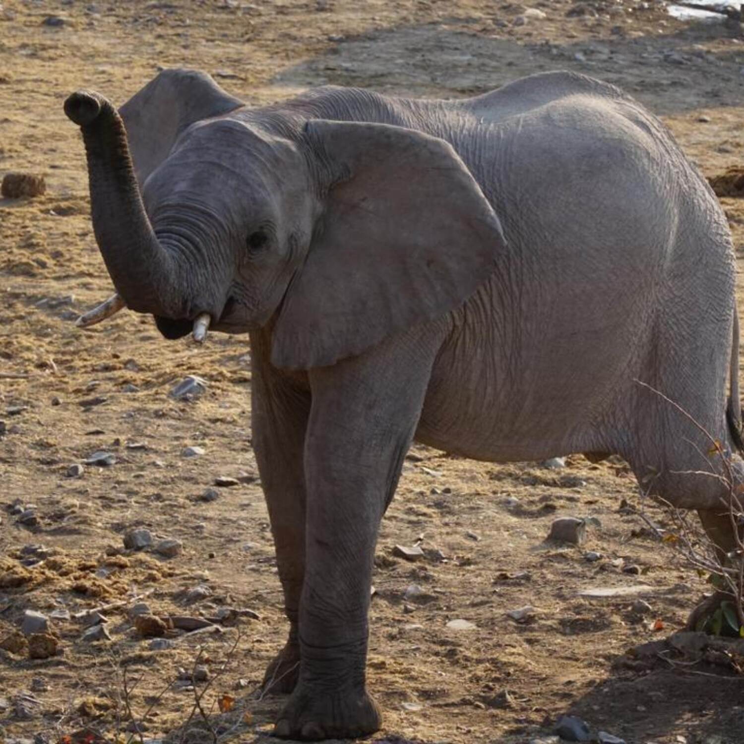 Namibia