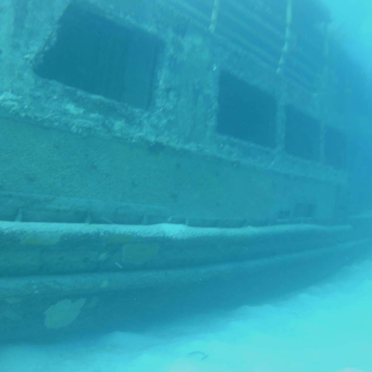Cruise to Bermuda