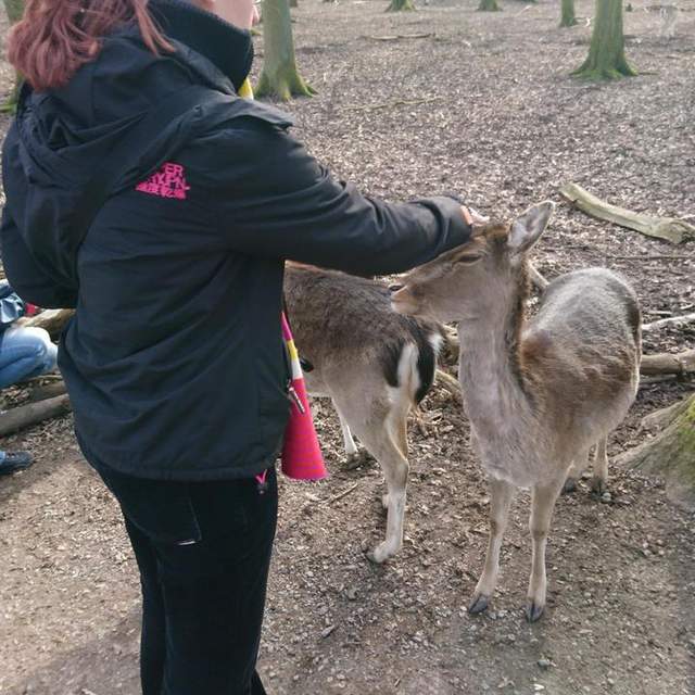 Tierpark Essehof 11.03.2017