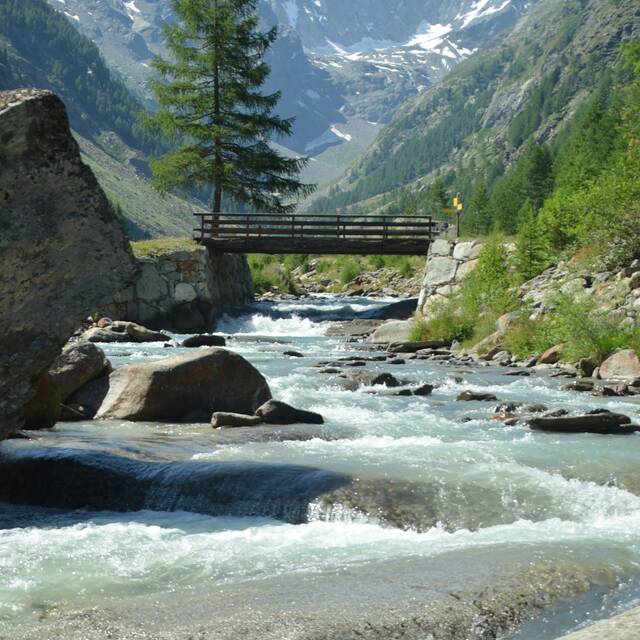 Bergfreund