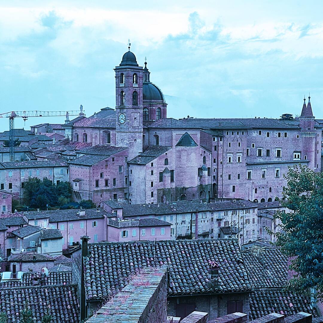 URBINO