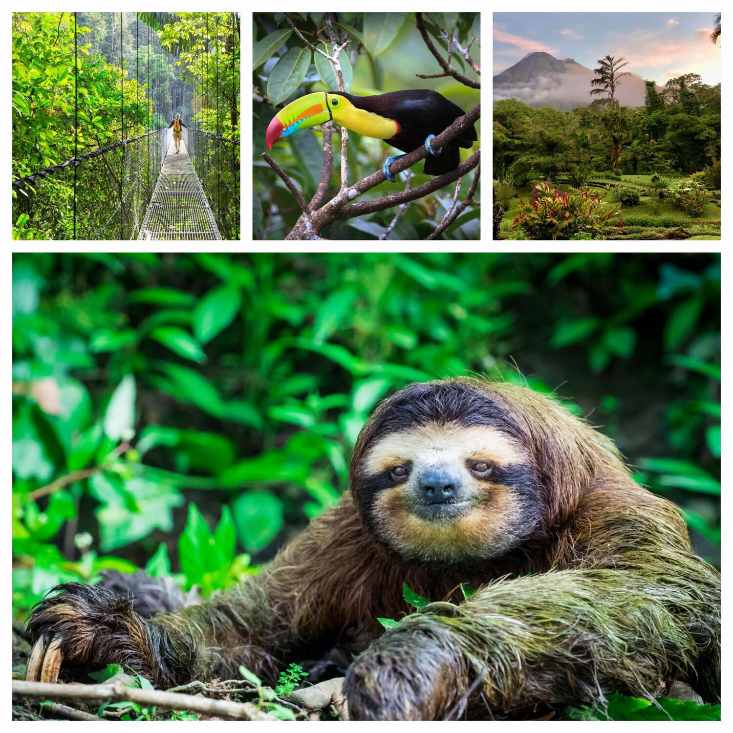 Costa Rica 🇨🇷 Pura Vida