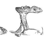 Kroki
