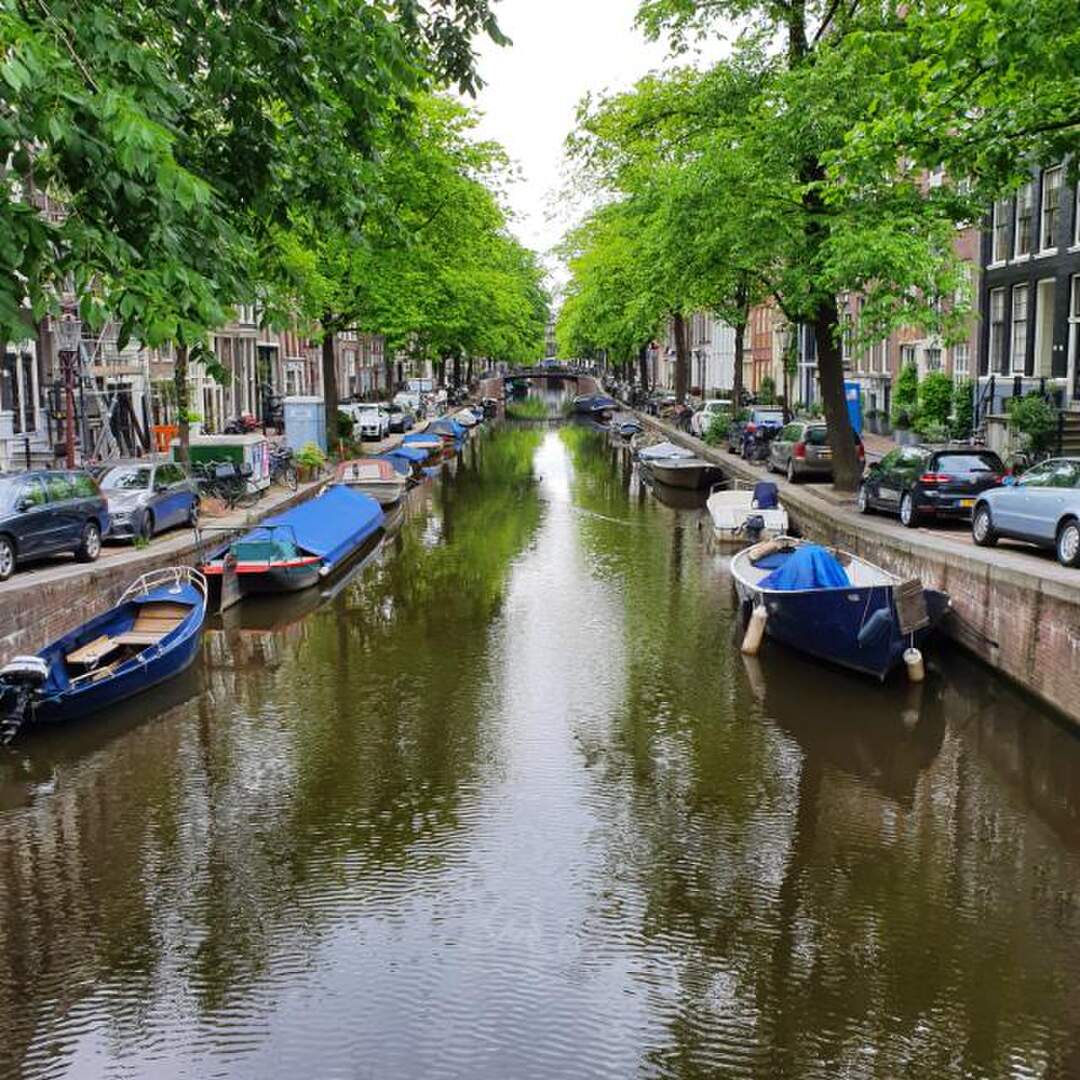 Amoral Amsterdam