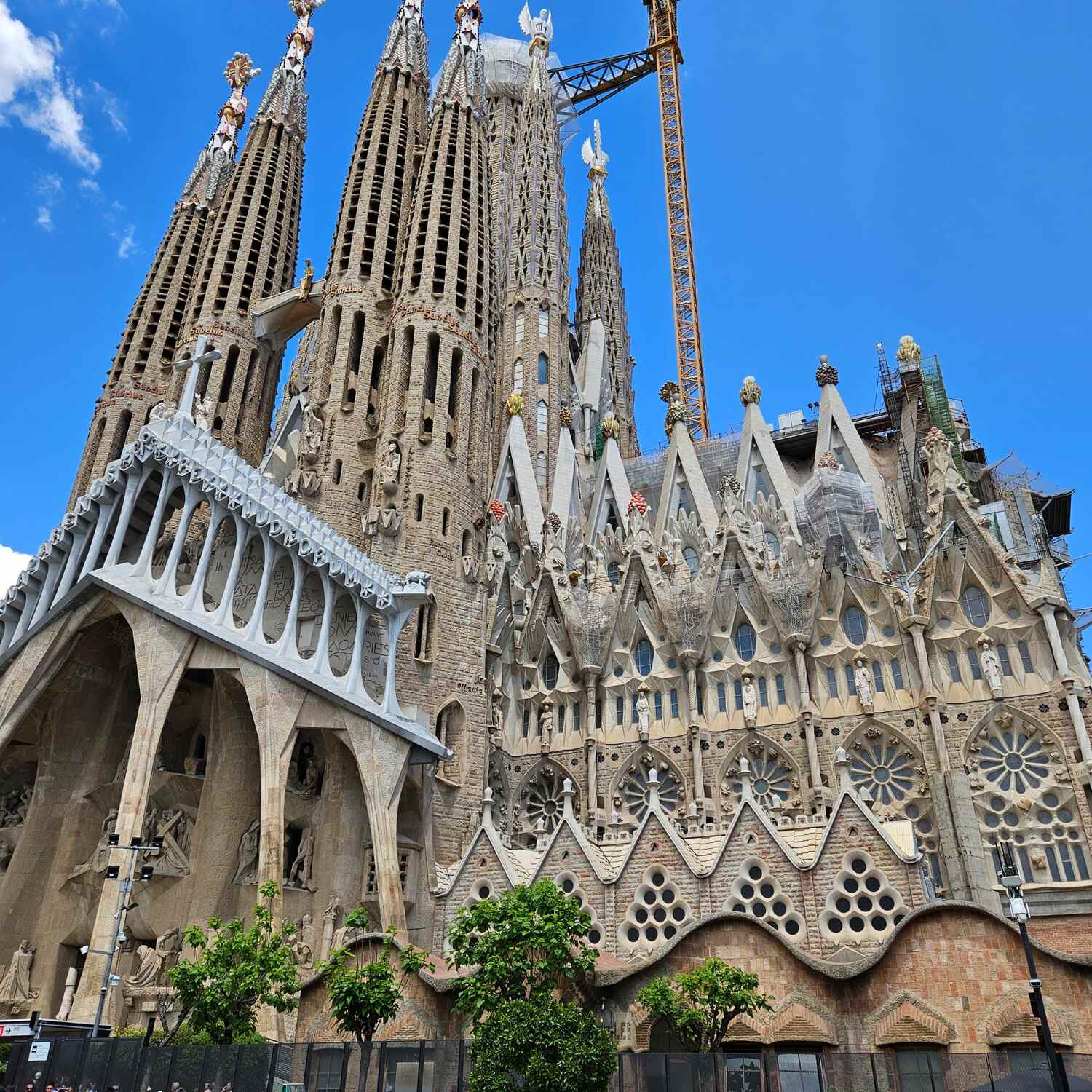 Buzzy Barcelona