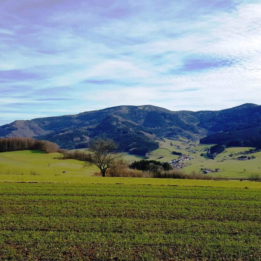Schwarzwald