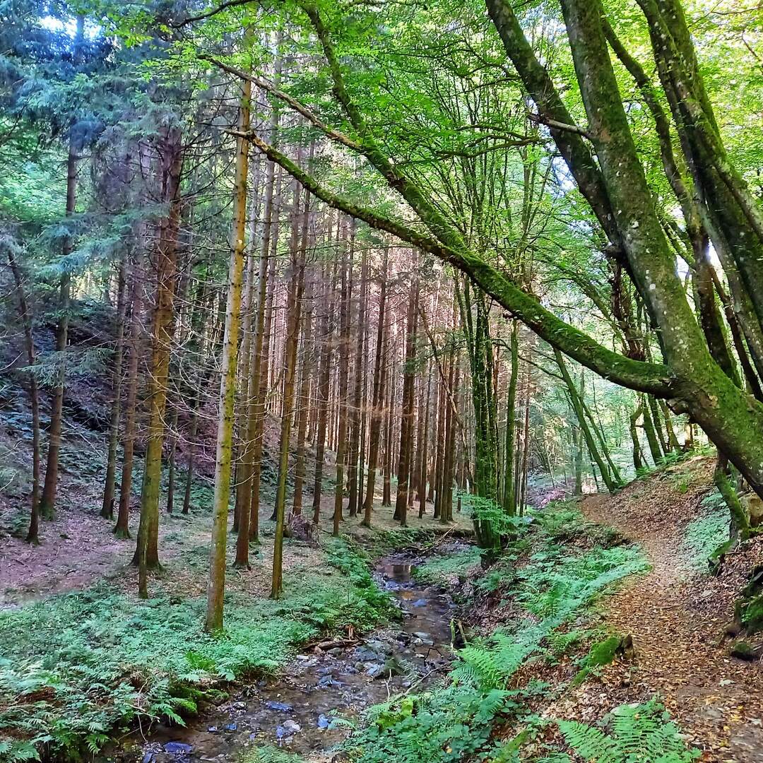 Traben-Trabach