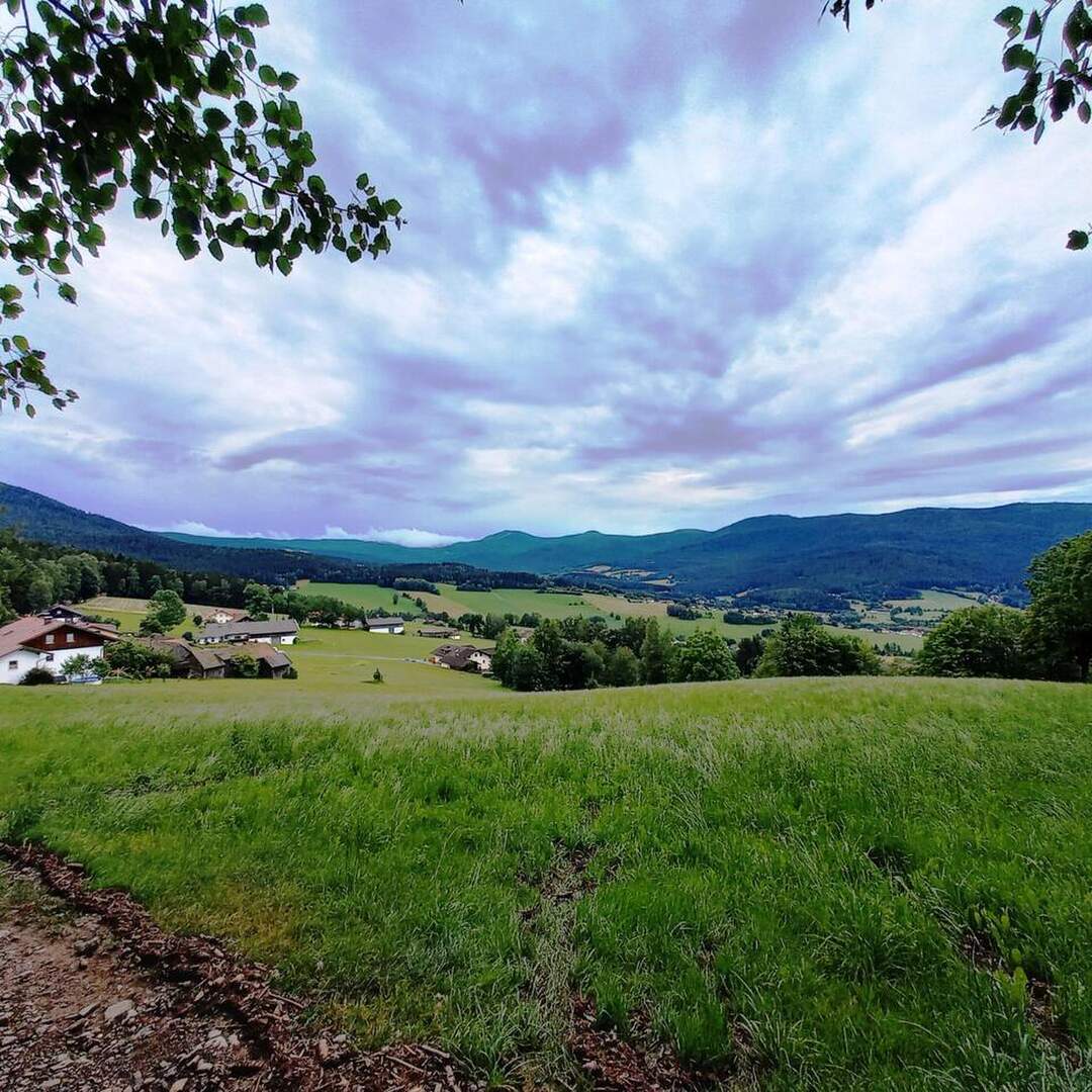 Der Gläserne Steig