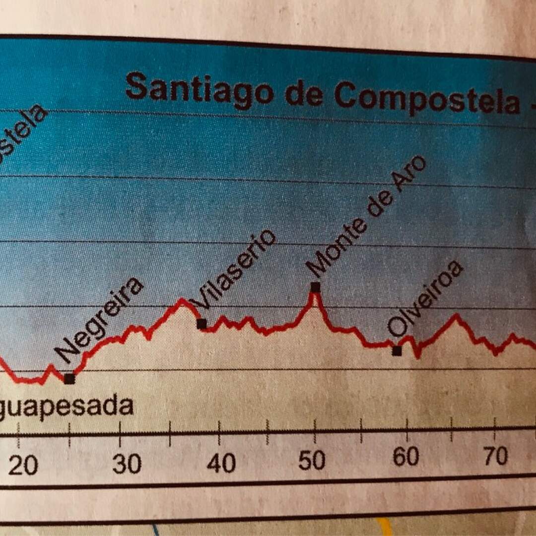 Camino Revival