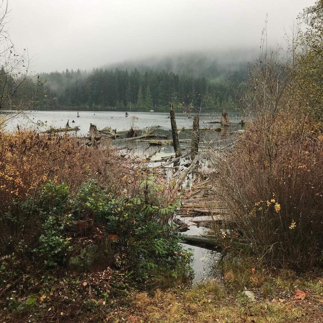 Hikes