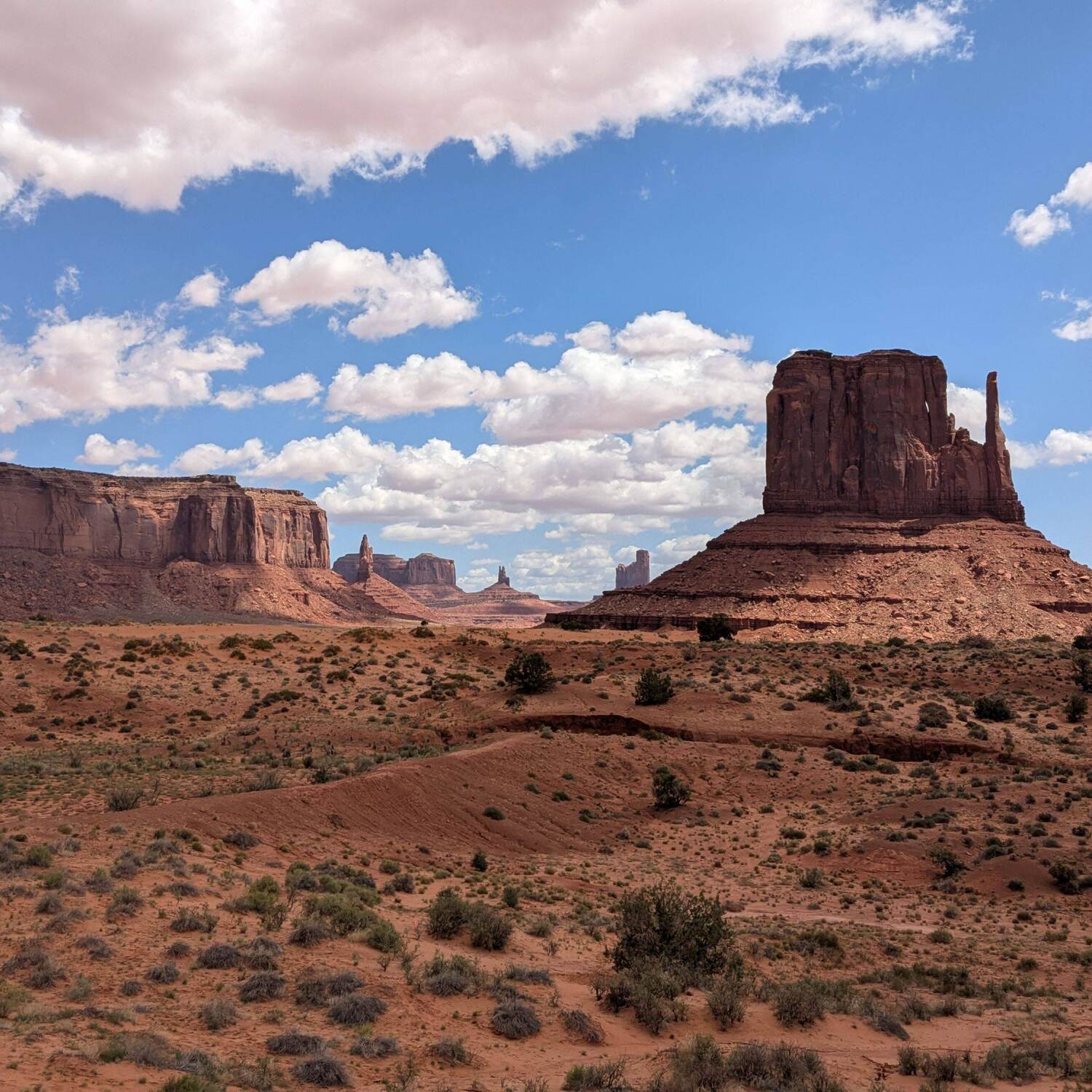 California and desert