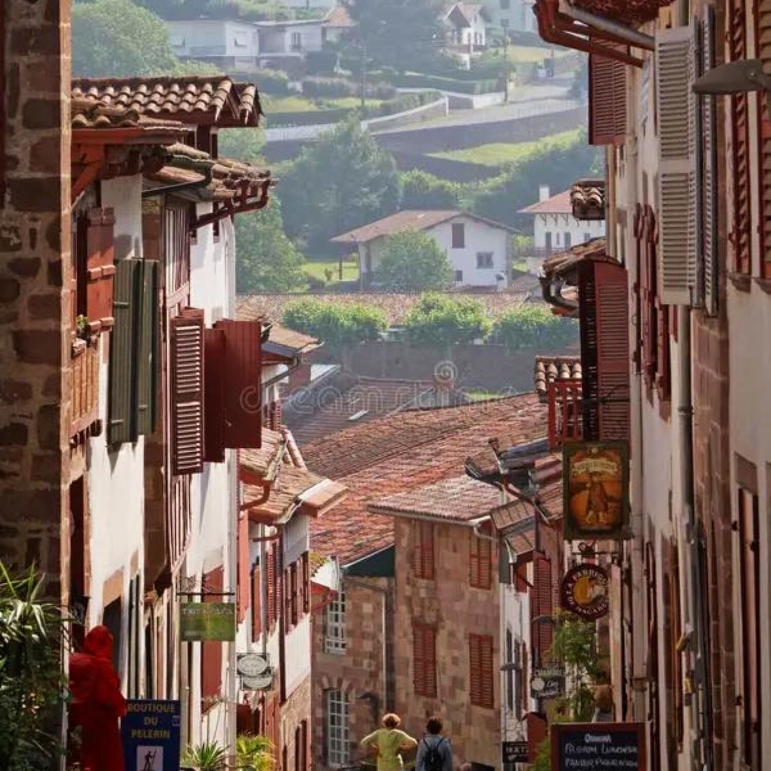 Camino Frances