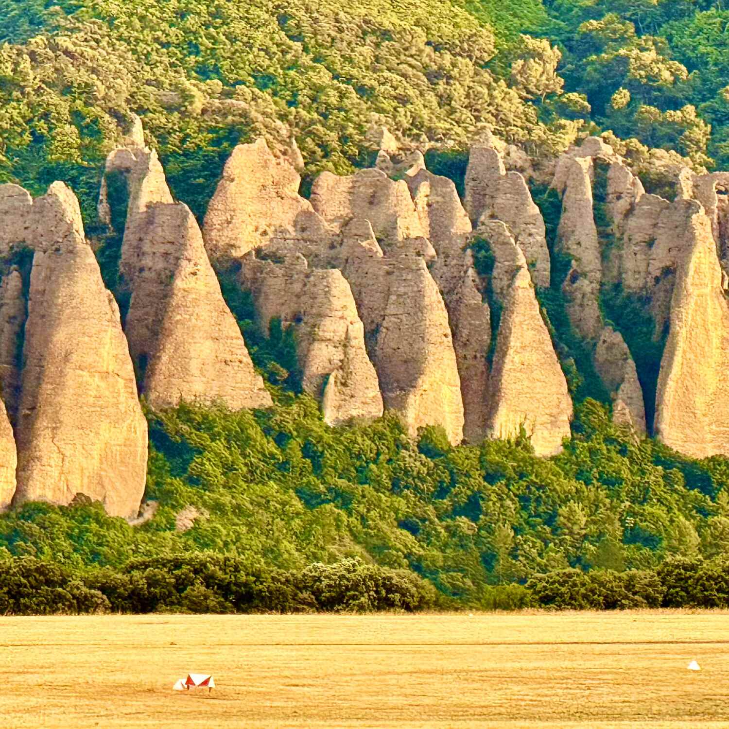 Reise mit ungeplantem Ende