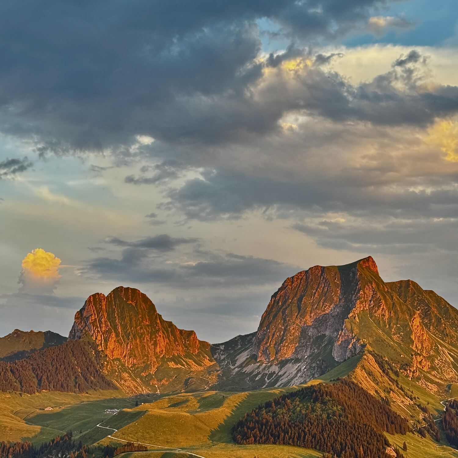 Berneroberland