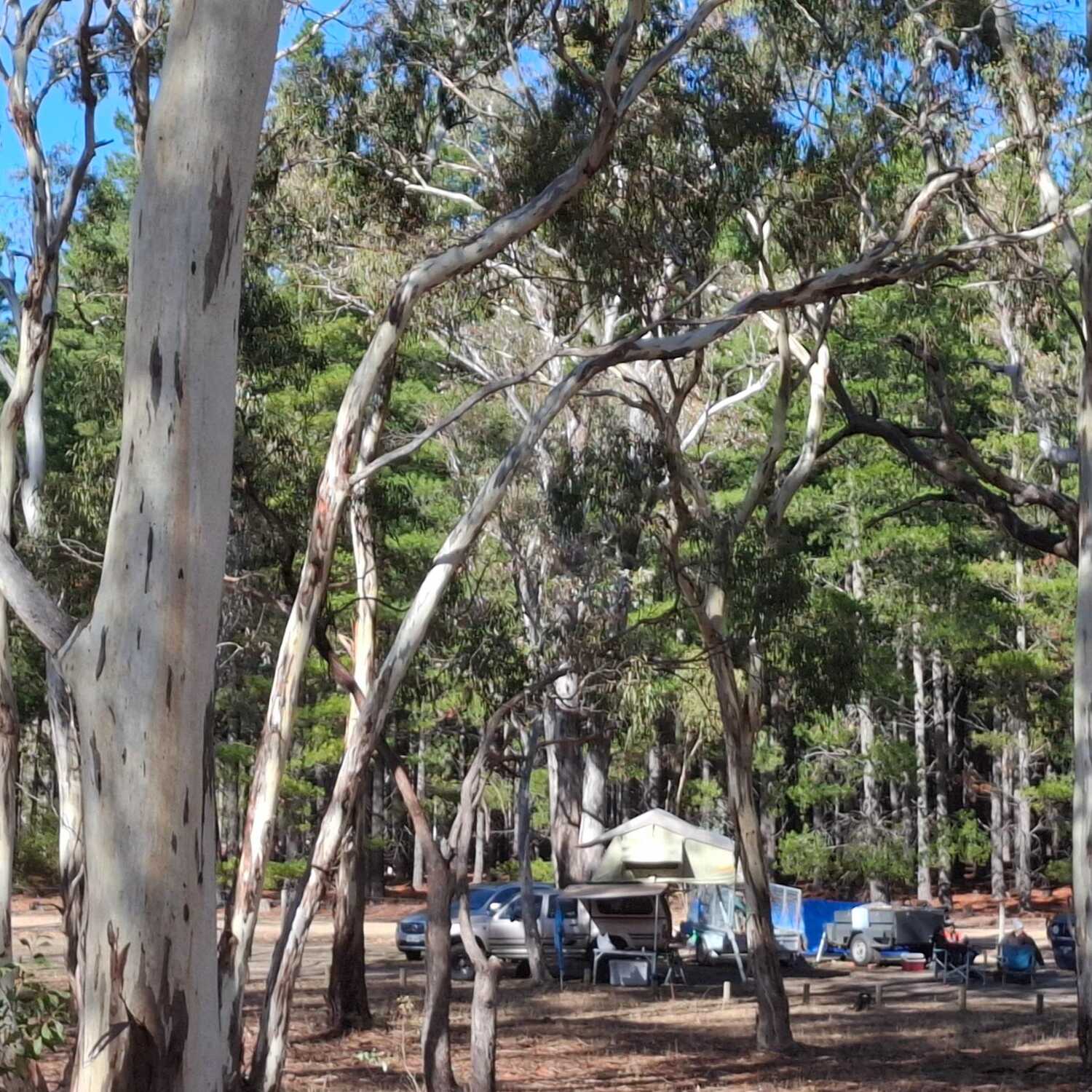 Chalks Campground