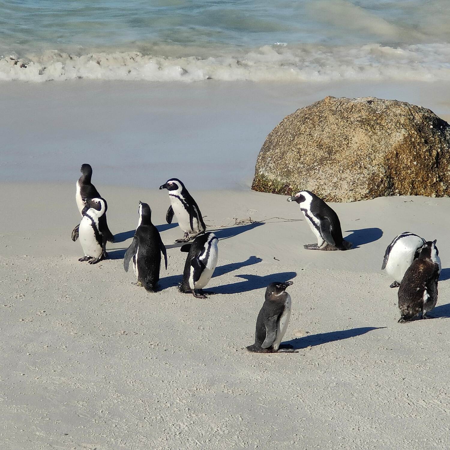 South Africa