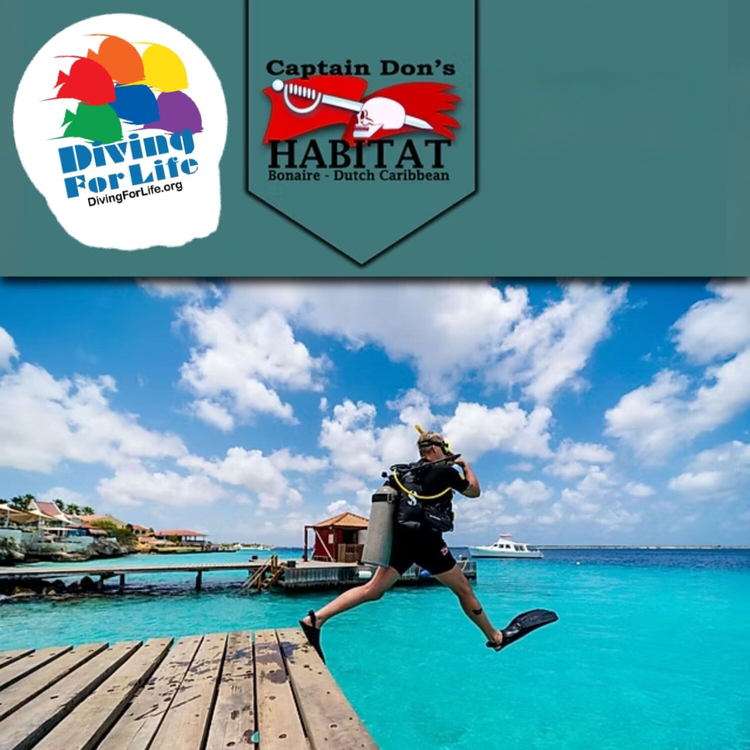 Bonaire - Diving For Life 2025