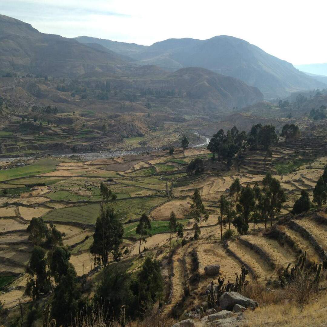 Peru 2018