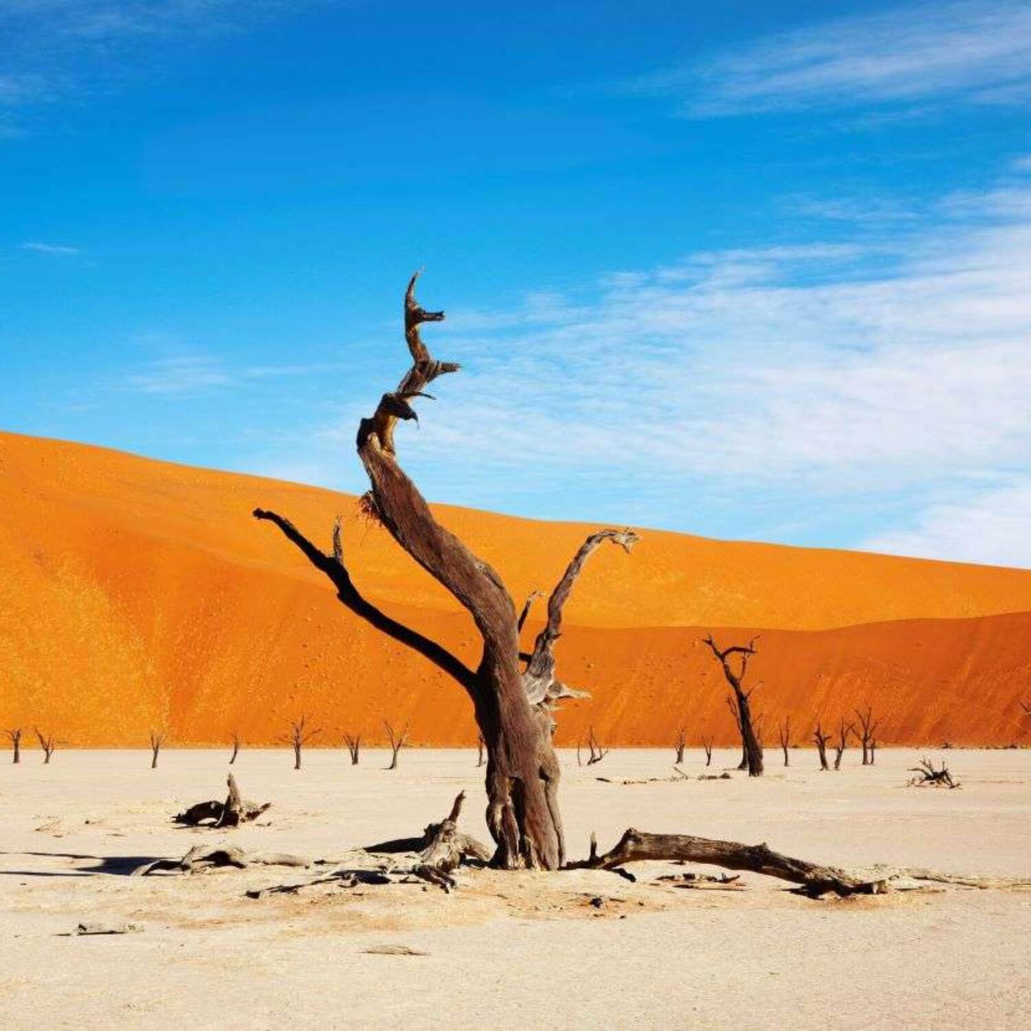 Namibia