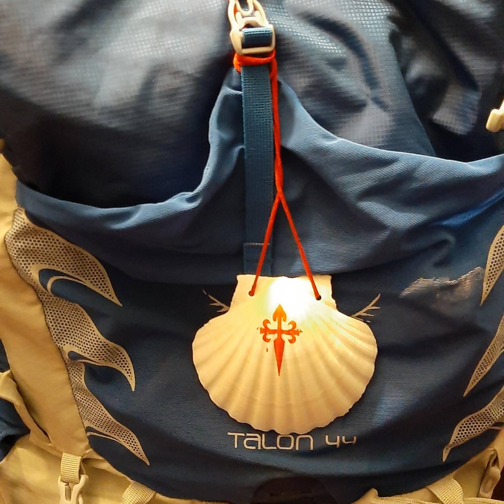 Martin on the Camino 2023