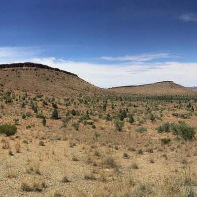 Känguru,TasmanianDevil,Kiwi&Co