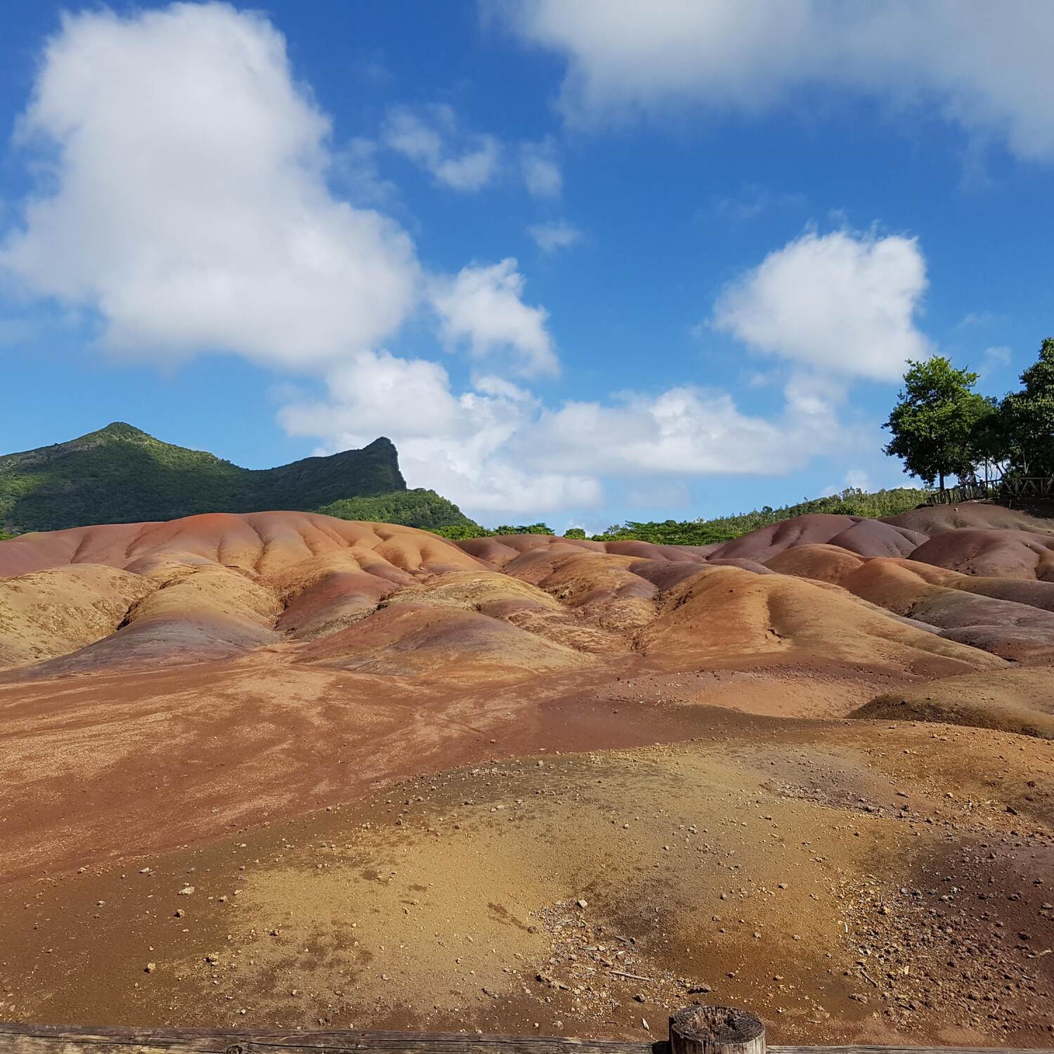 Mauritius