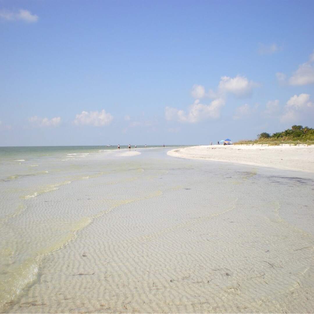Sanibel Island - Shorty