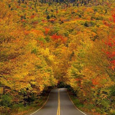 IndianSummer & more