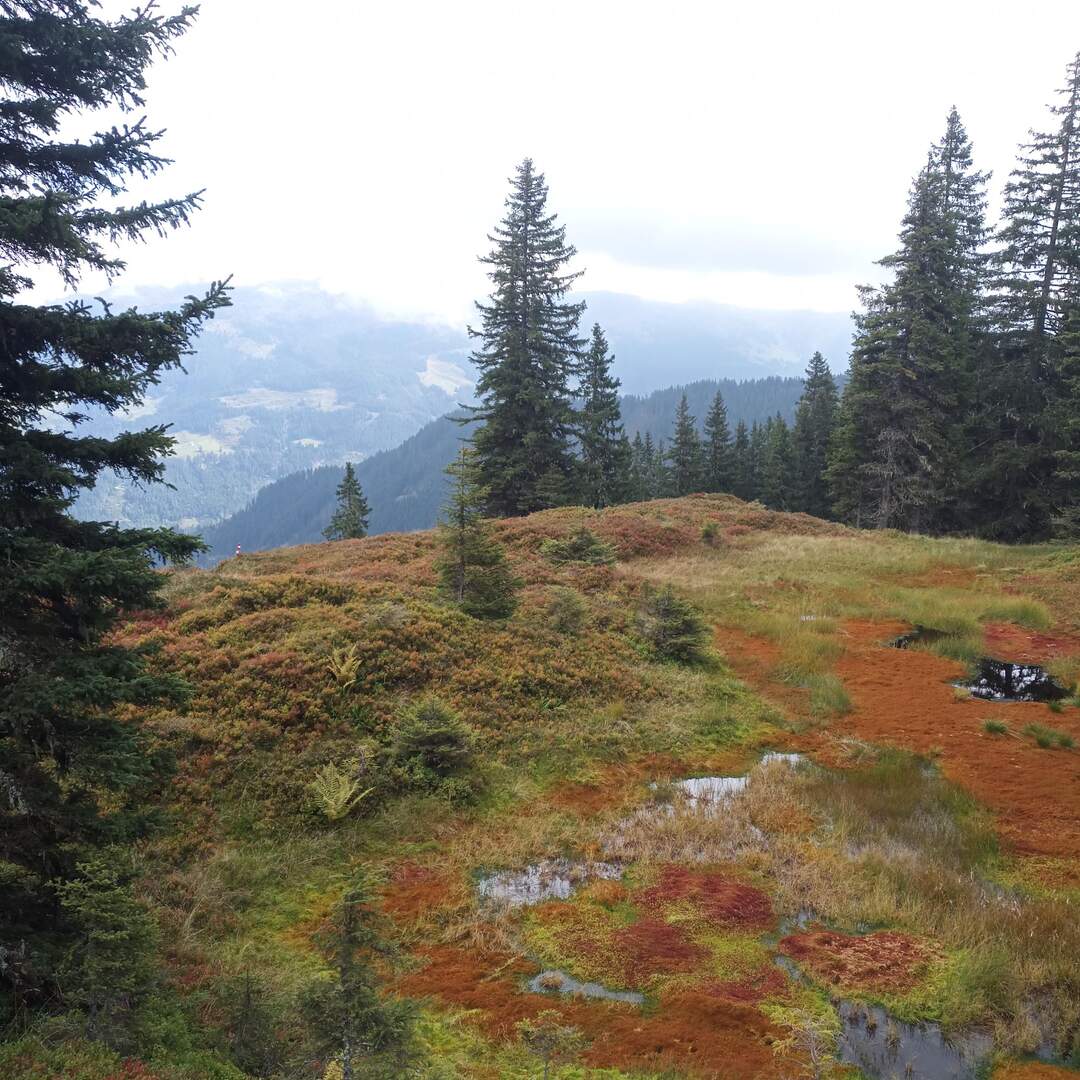 Reise nach Tirol