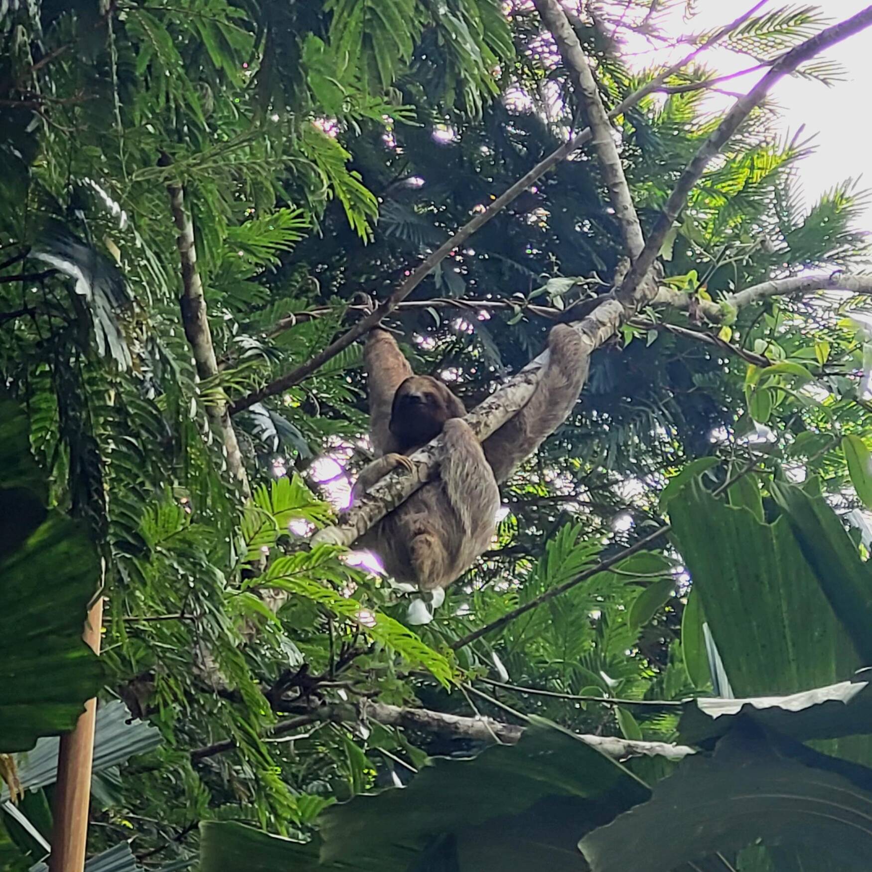 Costa Rica
