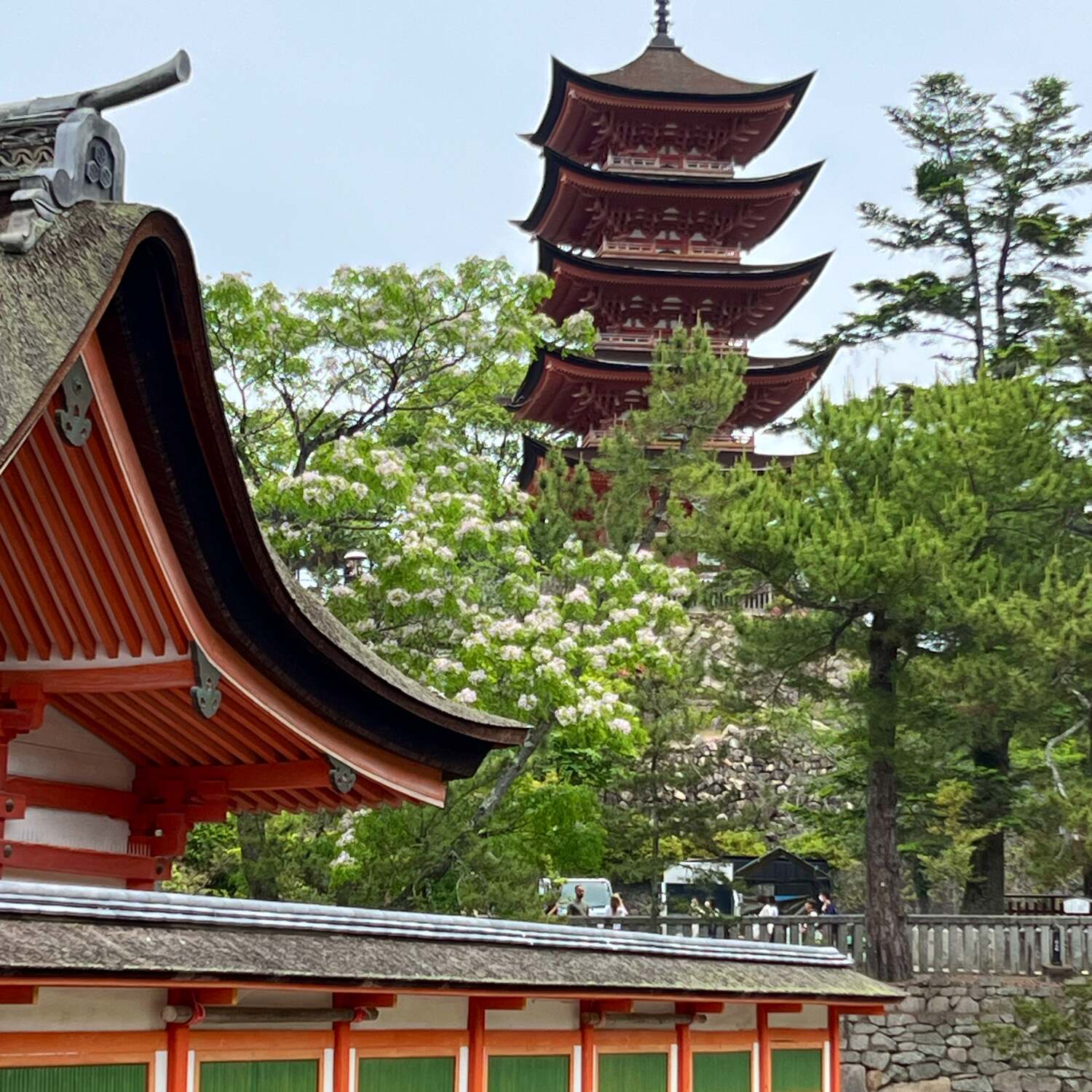 Japan 2024